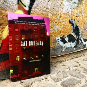 Sarah Schulman - Rat Bohemia