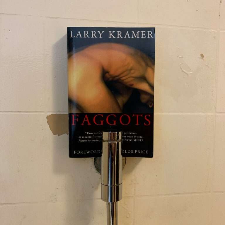 Larry Kramer - Faggots