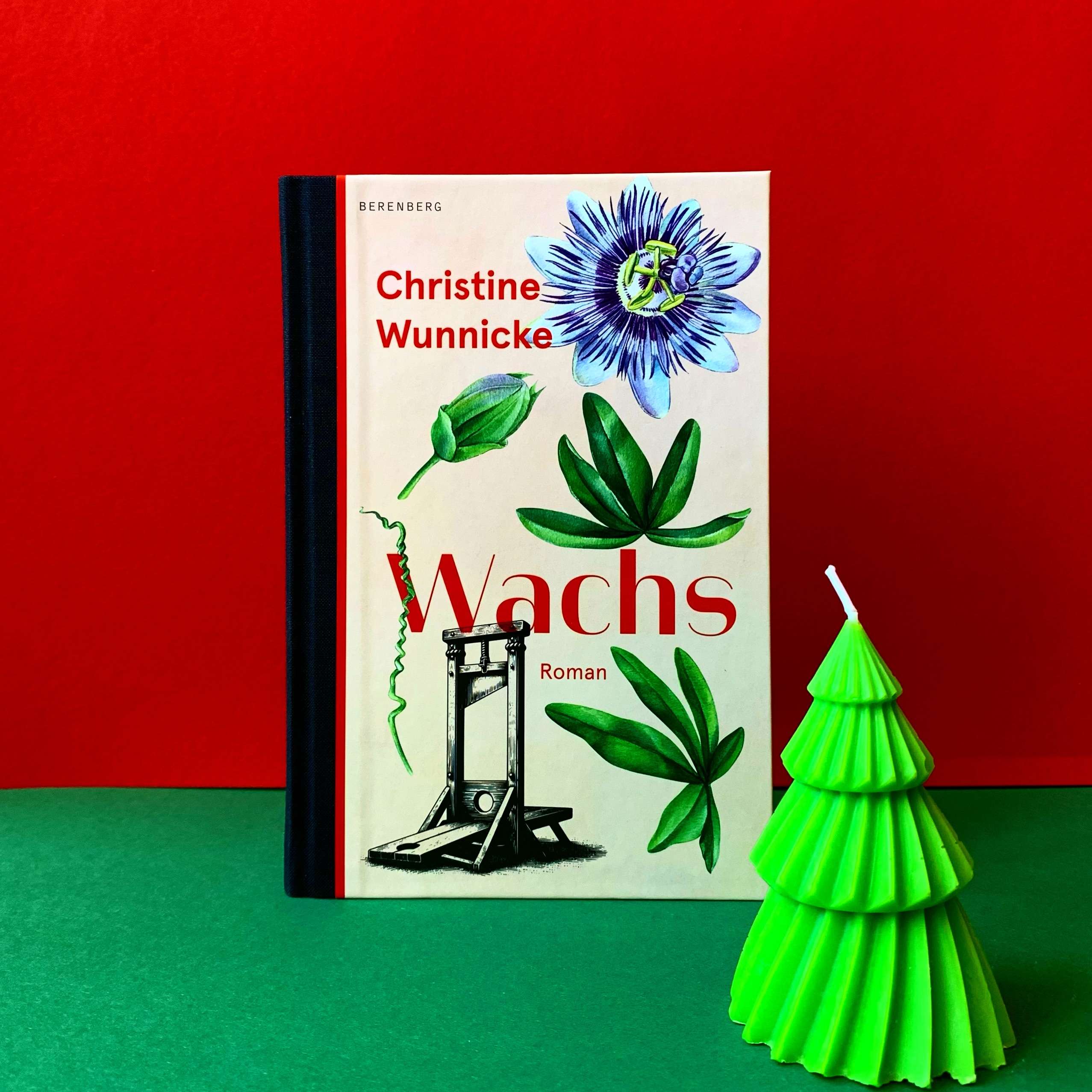 Christine Wunnicke - Wachs