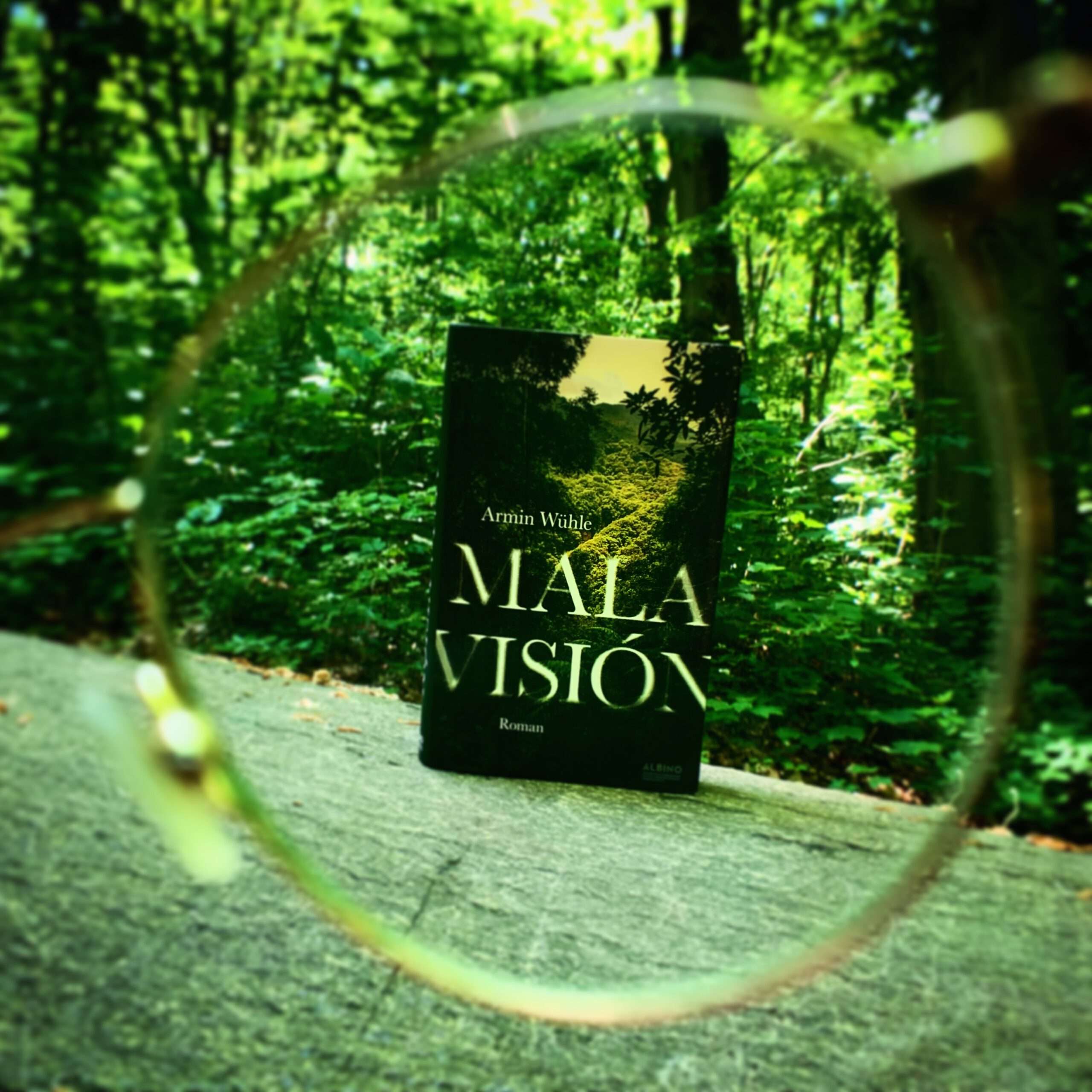 Armin Wühle - Mala Visión