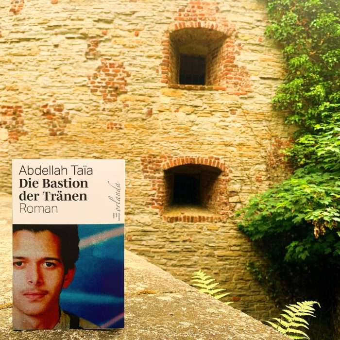 Abdellah Taïa - Die Bastion der Tränen